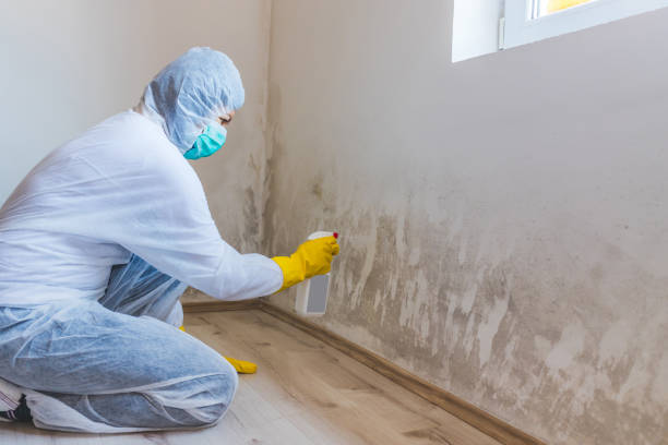 Hvac And Air Duct Mold Remediation inspection of HVAC system in Quincy